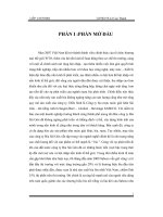 Đánh giá sự lựa chọn thị trường mục tiêu của bia Sài Gòn Sabeco