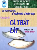 Bài thuyết trình chuyên đề: Cá thát lát pps