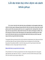 Lỗi do tràn bộ nhớ đệm và cách khắc phục pdf