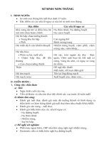 Sơ sinh non tháng pps