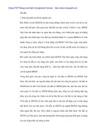 Đóng góp cho ngân sách bằng cách tăng cường đầu tư xây dựng các công trình thiết yếu bằng lợi nhuận bảo hiểm - 1 pps