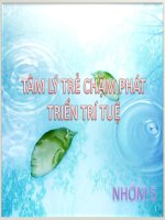 Tìm hiểu Tâm lý trẻ chậm phát triển trí tuệ ppt