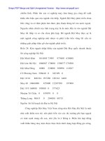 Lịch sử ngành dệt may việt nam và thực trạng ngành dệt may có sự can thiệp của nhà nước - 3 ppt