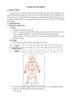 Vàng da sơ sinh ppt