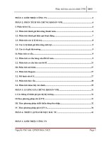 Phân tích báo cáo tài chính công ty cổ phần Vạn Phát Hưng