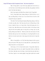 Lịch sử ngành dệt may việt nam và thực trạng ngành dệt may có sự can thiệp của nhà nước - 2 pptx