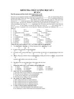 KIỂM TRA CHẤT LƯỢNG HỌC KỲ I ĐỀ SỐ 4 pptx