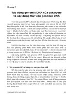 Giáo trình CÔNG NGHỆ DNA TÁI TỔ HỢP - Chương 5 pps