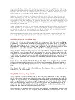 Lưu ý khi soạn thảo văn bản pot