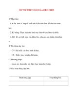 Giáo án lớp 2 môn Thủ Công: ÔN TẬP THỰC HÀNH LÀM ĐỒ CHƠI doc