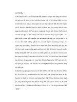 Thay đổi tổng sản phẩm quốc dân tại các vùng kinh tế mới và chính sách phát triển kinh tế docx