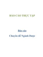 Báo cáo: chuyên đề ngành dược doc