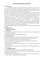 Hội chứng thực bào máu ppsx