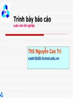 Bài giảng: Trình bày luận văn và báo cáo đề tài tốt nghiệp và những lỗi thường gặp docx