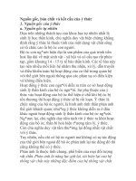 Nguồn gốc, bản chất và kết cấu của ý thức ppt