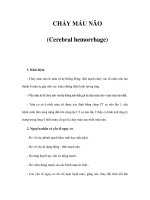 CHẢY MÁU NÃO (Cerebral hemorrhage) pdf