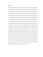 Chính sách cổ phần hóa tại việt nam, từ lý luận đến thực tiễn thực hiện pot