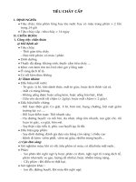 Tiêu chảy cấp ppt