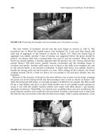 Handbook Of Shaft Alignment Episode 1 Part 6 pot