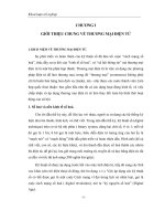 Hệ thống các giải pháp đẩy nhanh sự phát triển của thương mại điện tử ở Việt Nam nhằm nâng cao năng lực cạnh tranh của nền kinh tế trong quá trình hội nhập