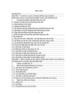 Giải pháp thúc đẩy xuất khẩu hàng may mặc của công ty cổ phần may 10 sang thị trường Mỹ