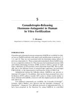 Gonadotropin-Releasing Hormone-Antagonist in Human In Vitro Fertilization doc