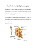 Thoát Vị Đĩa Đệm Cột Sống Thắt Lưng Cấp doc