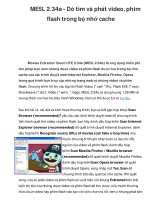 MESL 2.34a - Dò tìm và phát video, phim flash trong bộ nhớ cache doc