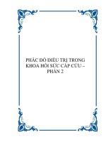 PHÁC ĐỒ ĐIỀU TRỊ TRONG KHOA HỒI SỨC CẤP CỨU – PHẦN 2 pdf
