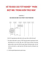 ĐỀ TÀI BÁO CÁO TỐT NGHIỆP ” PHÂN BIỆT IMS TRONG KIẾN TRÚC NGN” CHƯƠNG 3_2 pps