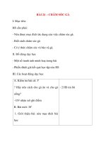 Giáo án lớp 5 môn Kỹ Thuật: BÀI 24 : CHĂM SÓC GÀ docx