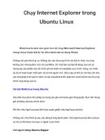 Chạy Internet Explorer trong Ubuntu Linux pdf