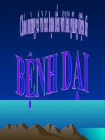 Bài bệnh dại trên con chó