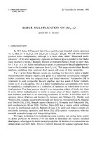 Báo cáo toán học: 