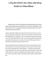 Lồng âm thanh vào video clip bằng “Audio to Video Mixer” pps