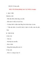 Giáo án lớp 5 môn Mỹ Thuật: BÀI 28: Vẽ theo mẫu MẪU VẼ CÓ HAI HOẶC BA VẬT MẪU (vẽ màu) pot