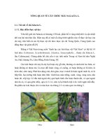 TỔNG QUAN về cây CHÓC máu SALACIA l