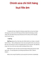 Chỉnh sửa chi tiết hàng loạt file âm docx