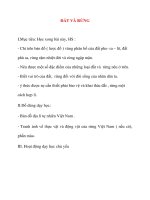 Giáo án lớp 5 môn Địa Lý: ĐẤT VÀ RỪNG pdf