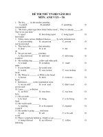 ĐỀ THI THỬ TN-ĐH NĂM 2011 MÔN: ANH VĂN – T6 doc