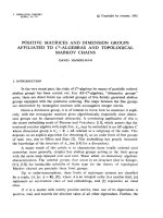 Báo cáo toán học: 