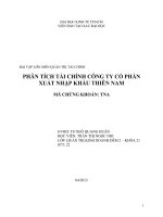 PHÂN TÍCH TÀI CHÍNH CÔNG TY CỔ PHẦN XUẤT NHẬP KHẨU THIÊN NAM