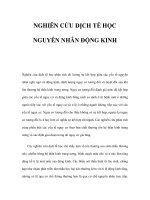 NGHIÊN CỨU DỊCH TỄ HỌC NGUYÊN NHÂN ĐỘNG KINH doc