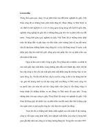 Thực trạng ngành giày da Việt Nam và xu hướng xuất khẩu của các doanh nghiệp lớn trong ngành thời gian tới ppt