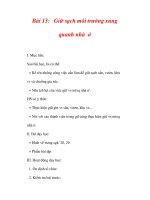 Giáo án tự nhiên xã hội lớp 2:Tên bài dạy Bài 13: Giữ sạch môi trường xung quanh nhà ở ppt