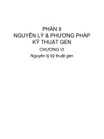 Nguyên lý kỹ thuật gen   luận văn, đồ án, đề tài tốt nghiệp