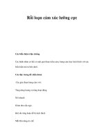 Rối loạn cảm xúc lưỡng cực pps