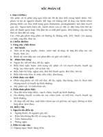 Sốc phản vệ pptx