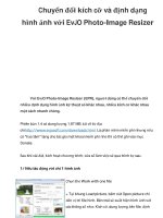 Chuyển đổi kích cỡ và định dạng hình ảnh với EvJO Photo-Image Resizer pot