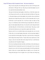 Thị trường Châu Âu và định hướng cho ngành công nghiệp cà phê việt nam - 2 ppsx